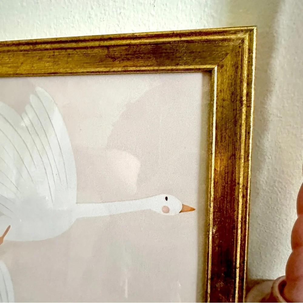 N/A flying swans